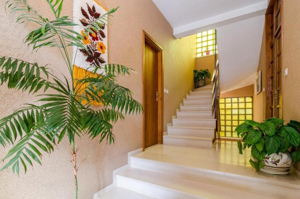 Apartments Villa Ivka Dubrovnik Exterior foto
